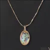 Pendant Necklaces Fashion Oval Abalone Shell Necklace Gold Plated For Women Jewelry Drop Delivery Pendants Otqxg