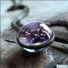 Pendanthalsband Neba Galaxy dubbelsidig roterbar för Wome Men Universe Planet Glass Art Picture Handmade uttalande smycken i DR OT8PS