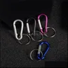 Nyckelringar Aluminium Carabiners Cam Outdoor Sport Alloy D Screw Lock Carabiner Clip Hook Keychain Screwgate Tools DHS Drop Delivery Jew DHQ48