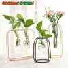 Vazen Noordse stijl Golden Flower Stand Glass Testbuis Vaas Office Desktop Creatieve arrangement Groene Dill Hydroponic