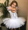 Palco use lantejoulas brancas cisne fantasia vestido de balé figurina infantil bailarina tutu ginástica de dança de collant