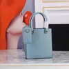 Embossed Letter Designer Handbags Zipper Pouch Wallet Crossbody Bags Triangle Sign Adjustable Detachable Woven Shoulder Strap Bags