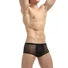 Underpants Men Men Sexy Fishnet Boxer Roufety Man Boxers Trounk High Stretch Mesh Gay Transparent Black