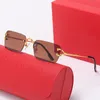 Nouveau Mens Designer Lunettes De Soleil Femmes Lunettes De Soleil Sans Monture Mode Polygone À La Mode Accessoire Homme Carti Lunettes De Soleil Panthère Unique Lunettes