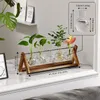 Vases -Desktop Propagation Stations Plant Glass Planter With Wooden Stand For Hydroponics Plants Office Home Garden Decor