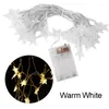 Строки 10/40LEDS Star Light String String Swinkle Garlands аккумулятор с питанием USB -лампы сказочные светильники праздничный свадебный сад украшение