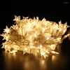 Strings USB/Battery Power LED Star Snowflake Ball Garland Lights Fairy String Waterproof Outdoor Lamp Christmas Holiday Party Decoration