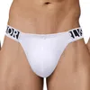 Slip hommes doux coton slips U convexe poche sous-vêtements confortable côtelé rayé culotte mâle respirant taille basse Bikini