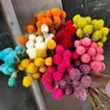 Dekorativa blommor 1 Bukett Strawberry Fruit Real Dried Flower för DIY Craft Wedding Party Home Arrangement Decoration