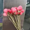 装飾的な花1ブーケストロベリーフルーツDIYクラフトウェディングパーティーホームアレンジメントのための本物の乾燥花