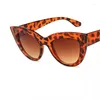 Gafas de sol Gafas de moda Mujer Retro Cat Eye Sunshade Internet Celebrity Mismo estilo Ins