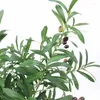 Dekorativa blommor konstgjorda blommor bladgrön olivgrenar simulering frukt växt lämnar bröllop bukett diy material