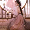 Scène porter femme élégante chinois traditionnel Hanfu broderie fée maille Costume de danse folklorique année fête Oriental rétro robe de princesse