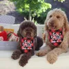 ملابس الكلاب Big Sister Plaid Bandana Prominancy إعلان Bandanas بين الجنسين تكشف PO POR PET PET Accessories SCRIVES