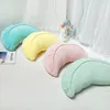 Pillow /Decorative Creative Cute Velvet S Home Decor Blue Office Decoration Modern Nordic Baby Chat Coussin Rose For Sofa 60KO
