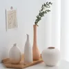 Vases nordiques minimalistes pour la décoration de la maison, petit vase, table basse, pot de fleurs séchées, décoration de salon