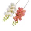 Fiori decorativi One Real Touch Phalaenopsis Orchid Stem 64 cm Artificiale di buona qualità Lattice Farfalla Fiore Ramo 7 Teste