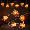 Strings Thanksgiving Decoratie 3D Acorn Light 4m 40 LED waterdichte feeënlichten met afstandsbediening voor herfst herfst