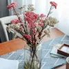 Decorative Flowers 50g Natural Millet Fruit Dried Flower Wedding Artificial Plants For Decoration Centerpieces Tables Pampas Grass