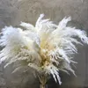 Flores decorativas Pacote de 10 cor branca de tamanho grande pampas seco de pampas decoração de casamento cacho de flor das plantas naturais em casa outono