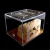 Small Animal Supplies Sand omvatte bionische acryl gips mieren nestwoningen s boerderij formicarium voor kolonie 230130