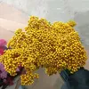 Fleurs décoratives 50g Planture naturelle Fleur séchée Bouquets de millet préservé Gift For Home Decor Wedding Party Decoration Artificiel Decoration