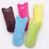 Mode mini -tanden slijpen Catnip speelgoed grappige interactieve pluche kattenspeelgoed huisdier kitten kauwen vocale klauwen duimbeet Toys BB0130