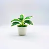 Decoratieve bloemen kransen kunstmatige groene planten dille gepot 13 cm woonkamer eettafel kantoor bureaublad kleine bonsai home g