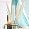 Decorative Flowers Bulrush Natural Dried Artificial Plants Branch Colorful INS Pampas Grass Phragmites Fake Flower Wedding Home De160h