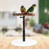 Другие домашние поставки птиц. Регулируемая игровая позиция для тренировок деревянных выдвижных приютлевых попугаев.