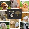 Produits de style chinois Urne commémorative pour animaux de compagnie pour cendres Chat Chien Boîte à mémoire Souvenir Crémation avec cadre Po en bois Nature Bambou 230130