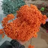 Fleurs décoratives 50g Planture naturelle Fleur séchée Bouquets de millet préservé Gift For Home Decor Wedding Party Decoration Artificiel Decoration