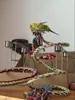Andra fågelförsörjningar 160 cm långa papegoja leksaker husdjur stående rep bur dekoration klättring leksak klocka 230130