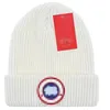 All-Match Sticked Hat Ins Popular Winter Hats Classic Letter Print Sticked Caps