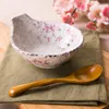 Bowls Japan Style Handpaint Red Plum Blossom Irregular Ceramic Bowl Porcelain Tableware Creative Decorative Cold Dish Gravy