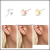 Stud Minimalistisch klein hart liefde oorbellen trendy roestvrij staal schattige Koreaanse stijl voor vrouwen bruidsmeisje cadeau drop levering sieraden otbgv