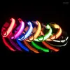 Colliers pour chiens Fournitures pour animaux de compagnie rechargeables par USB Collier lumineux LED Teddy Golden Retriever Chiens de grande et moyenne taille Lumineux