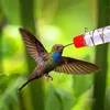 Other Bird Supplies Window Hummingbird Feeder Outdoor Yard Garden Decor Water Pet Accessories Drop 230130