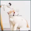 Dog Toys жевает электрический подъемный мяч Self Hi Tease Cat Interactive Pets Pets Products Интеллектные питомцы дразнящие принадлежности WY1321 DR DHPZL