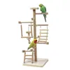 Autres fournitures pour oiseaux Bois Perroquet Aire de jeux Support de jeu Perche avec échelles pivotantes Bite Toys Perruche Calopsitte Inséparables Pinsons 230130