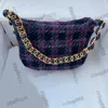 22K Womens Wool Tweed Hobo Underwarm Bags Spring Purple Handbags Gold Metal Hardware Shoulder Purse Outdoor Sacoche Designer Cosmetic Case Pocket 24x17cm