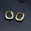 Hoop Earrings Women Desinger Inoxidable Gold Plated CZ Paved Oval For