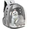 Hundbilsäte täcker Travel Space Pet Cat Carrier Transport Väskor Ryggsäck Transparent bärväska för katter och små hundar