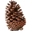 Flores decorativas H14cm, flor de bellota de cono de pino grande seca Natural para el hogar, guirnalda de Navidad DIY, decoración de corona