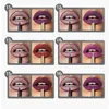 Zestaw do ust 16PCS i zestaw do szminki 16 Shades LIGNIS GLISNUT KASTNUT NUDE Ciemna Czerwona matowa matowa matowa mata 24 -godzinna szminka i zestawy do ust z Lip Liner Ołówkiem długotrwały