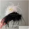 Saç klipsleri barrettes Sonbahar Kış Akrilik Hairclips Kadınlar için Devekuşu Tüy Klipsi Büyük Köpekbalığı Lady Barrette Hairclip Drop Dh2c5