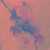Kwiaty dekoracyjne 20pcs sztuczne róże jedwabny kwiat róży na dekorację domu weselnego Fałszywe zapasy wieńca DIY