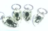 Keychains 5 PCS Real Black Gothic Scorpion Glow In Dark Fashion Keychain