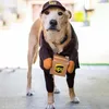 Hondenkleding huisdier Halloween UPS kostuums grappige verkleed outfits ingesteld met hoedbenodigdheden voor middelgrote honden koerier kledingproducten