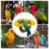 Andere vogelbenodigdheden huisdiervogels voeder kom maïsvorm papegaai voeding doos draagbare container praktisch